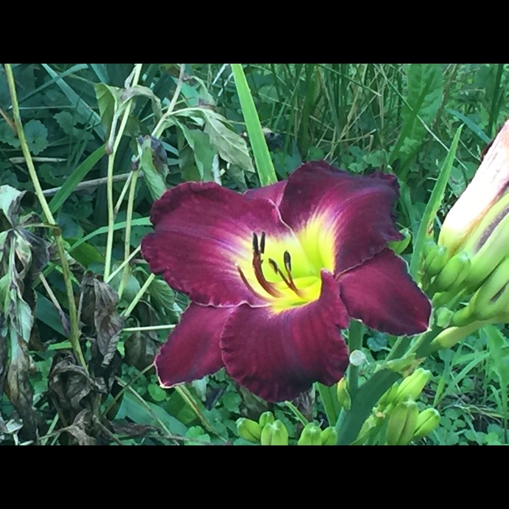 Meet your Posher, Joann